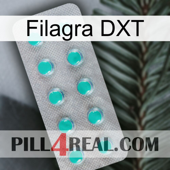Filagra DXT 28.jpg